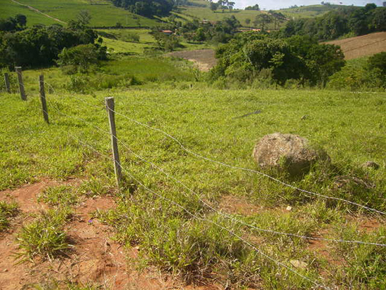 Avaliação de lotes